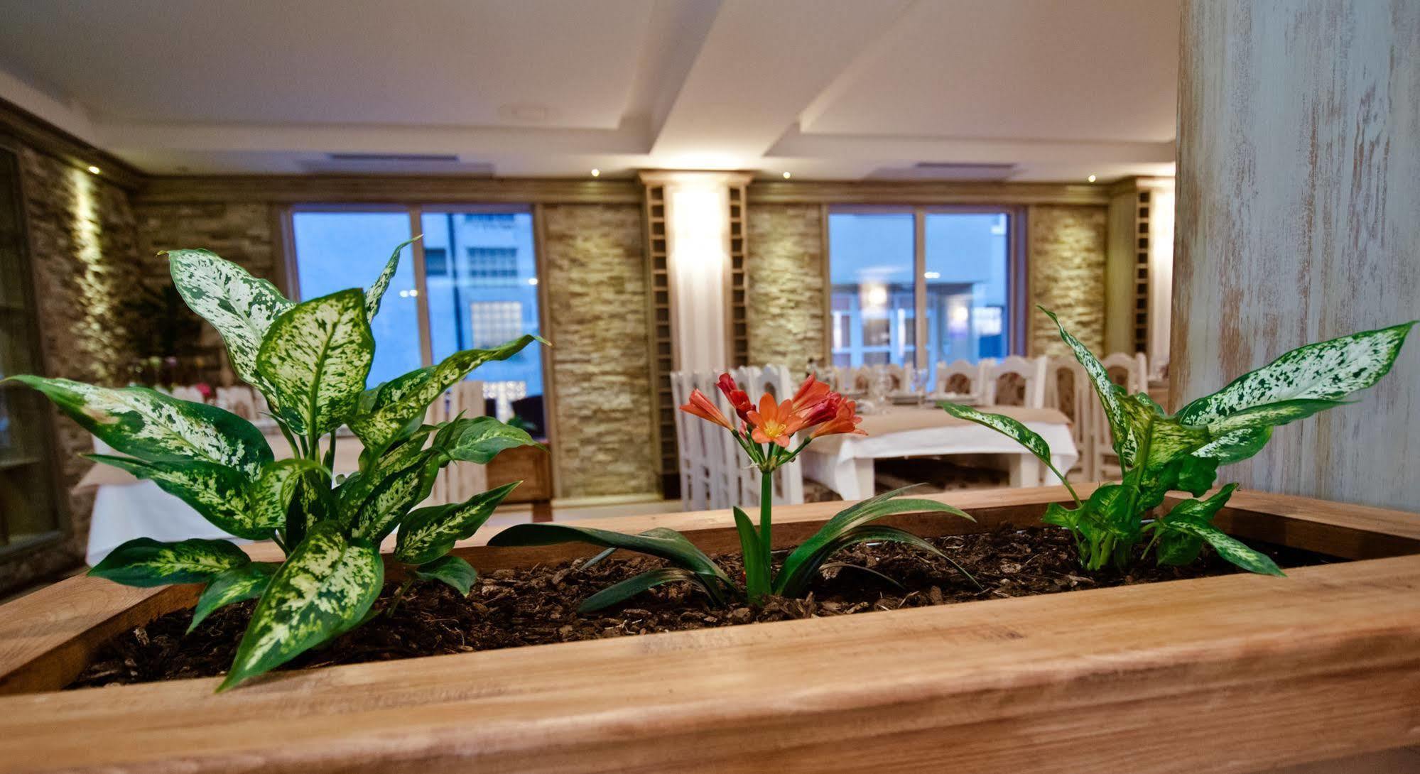 Wine Hotel Cesarica Međugorje Dış mekan fotoğraf